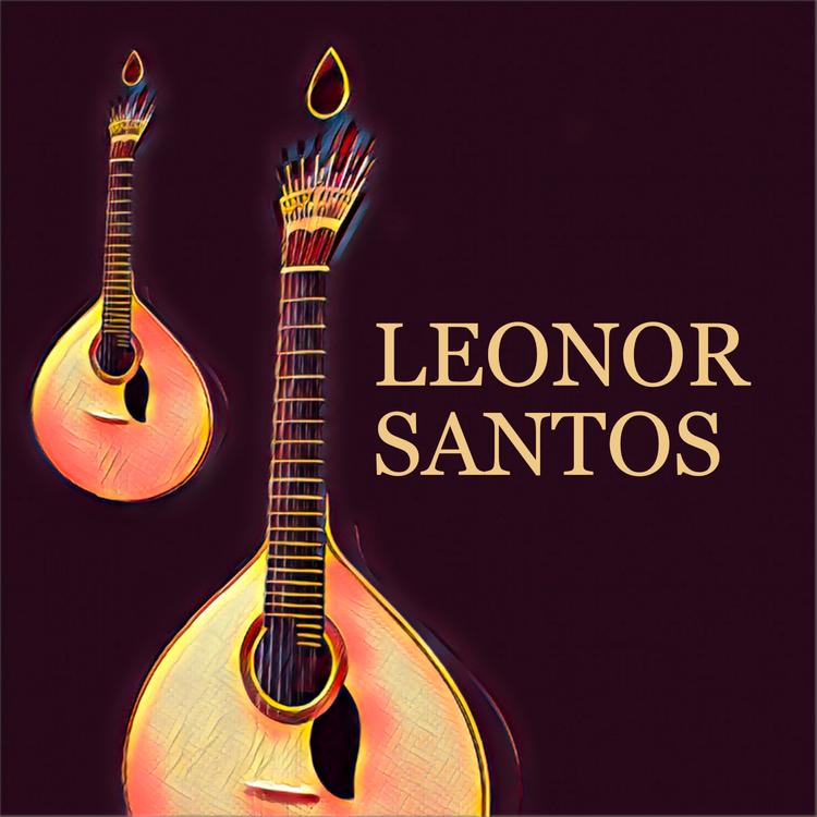 Leonor Santos's avatar image