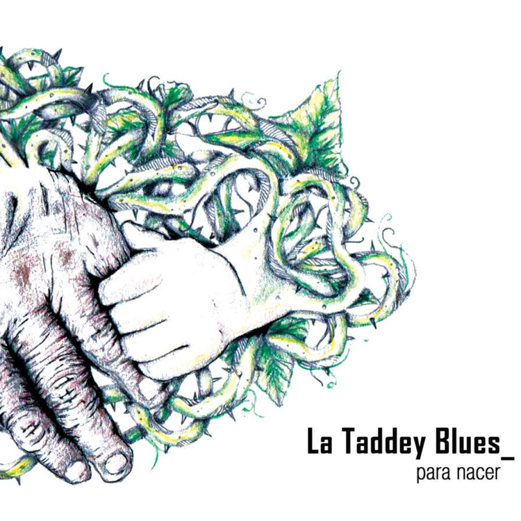 LA TADDEY's avatar image