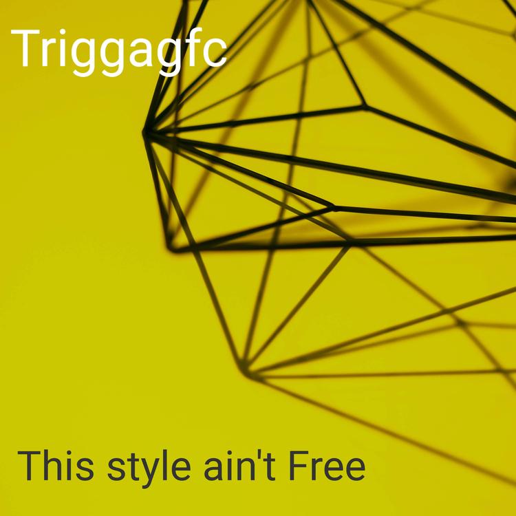 Triggagfc's avatar image