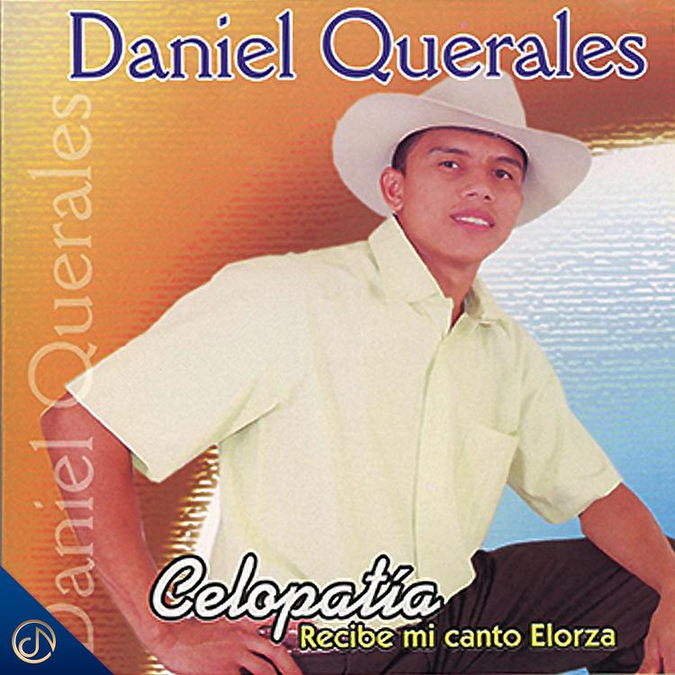 Daniel Querales's avatar image