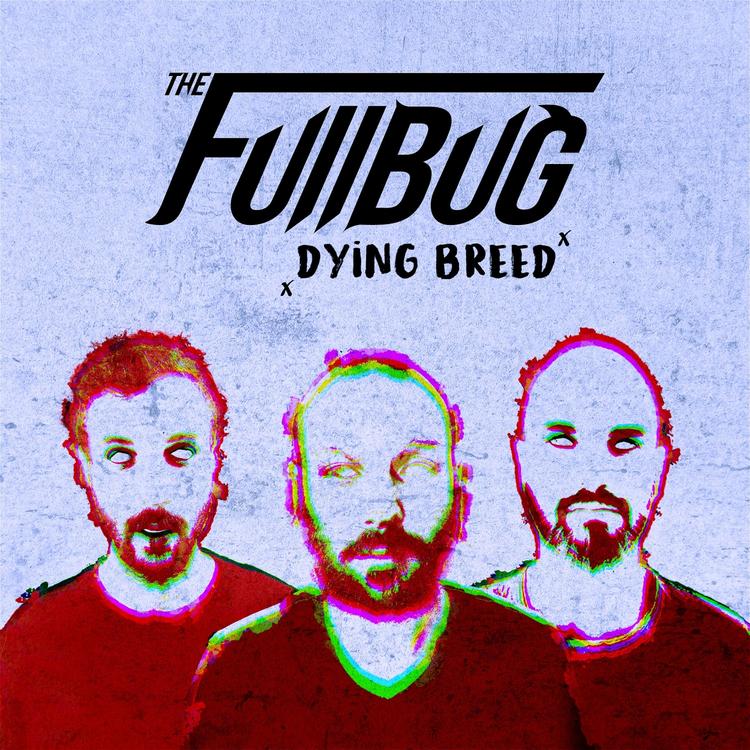 The Fullbug's avatar image