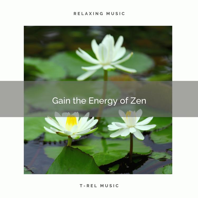 Sounds of Nature White Noise for Mindfulness Meditation and Relaxation's avatar image