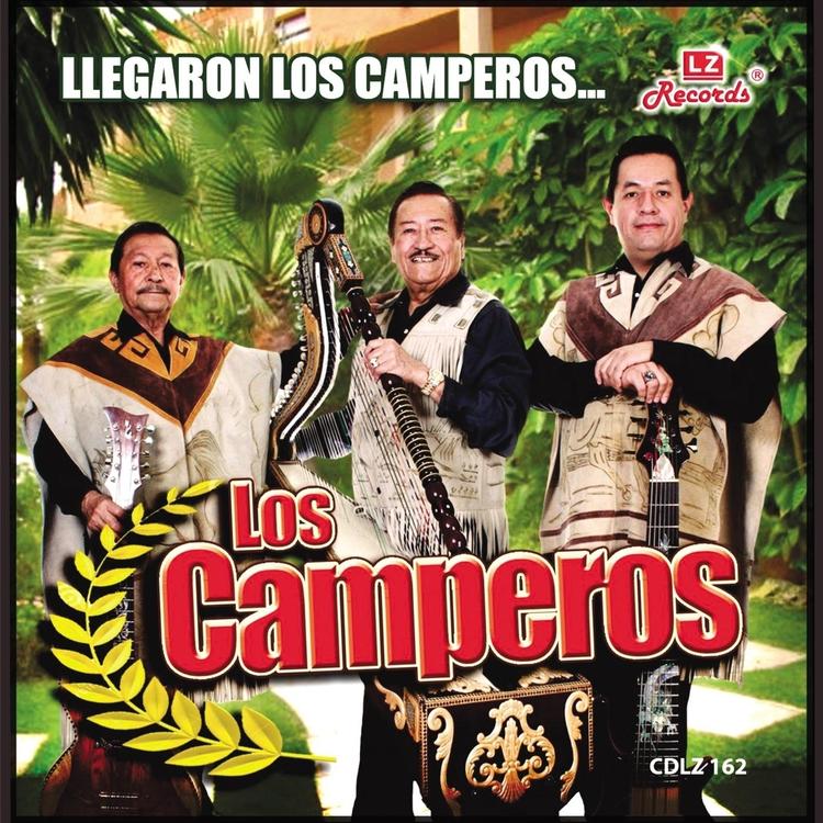 Los Camperos's avatar image