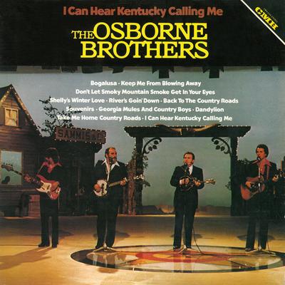 Don't Let Smoky Smoke Get in Your Eyes By The Osborne Brothers's cover