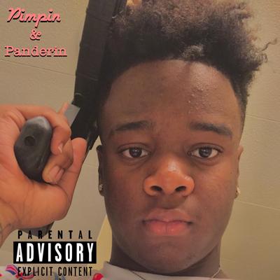 Pimpin' and Panderin's cover