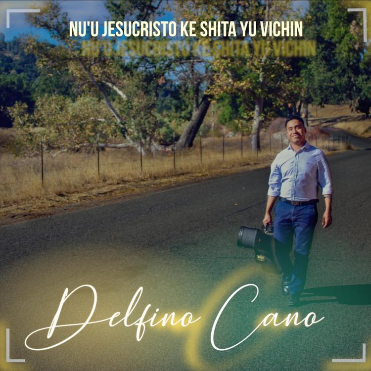 Delfino Cano's avatar image