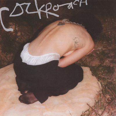Cockroach By Miya Folick's cover