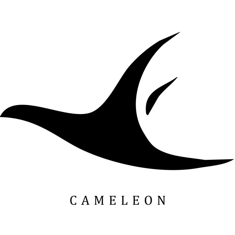 Cameleon's avatar image