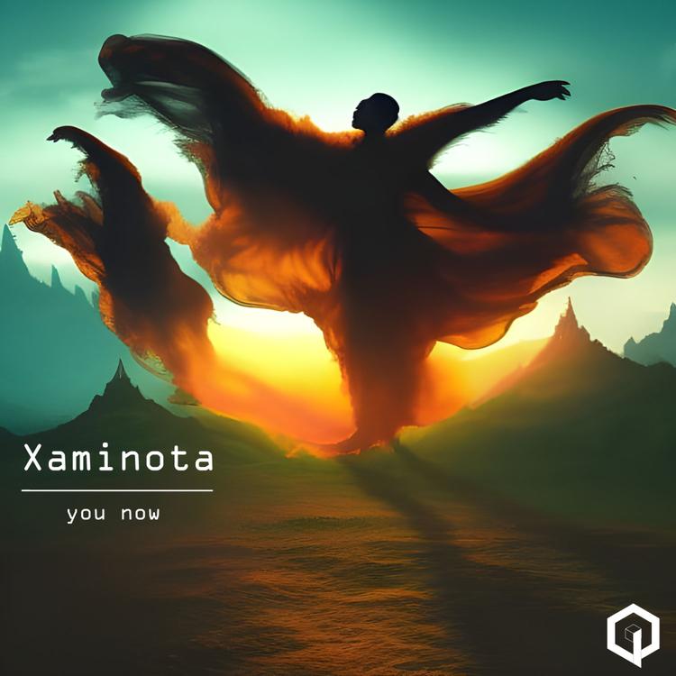 Xaminota's avatar image