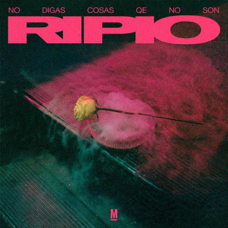 Ripio's avatar image