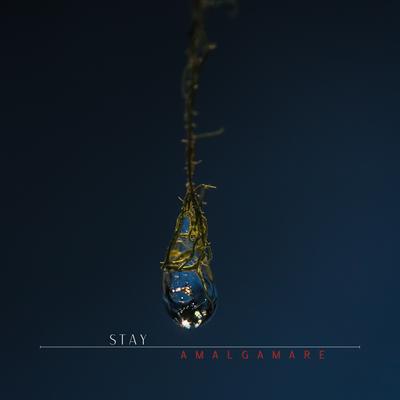 Stay By Amalgamare's cover