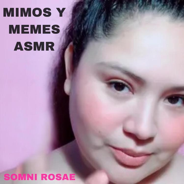 Somni Rosae's avatar image