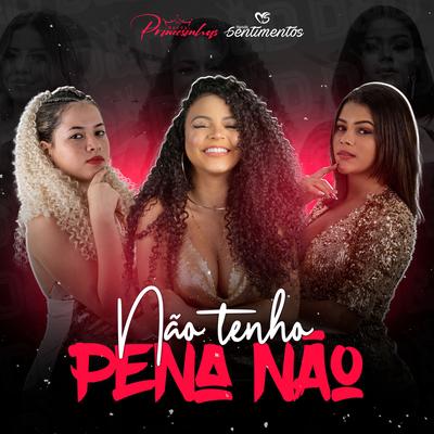 Não Tenho Pena Não By Banda Princesinhas, Banda Sentimentos's cover