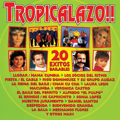 Tropicalazo: 20 Éxitos Bailables's cover