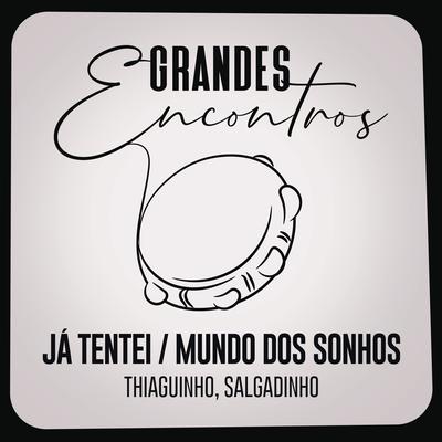 Já Tentei / Mundo dos Sonhos By Grandes Encontros, Thiaguinho, Salgadinho's cover