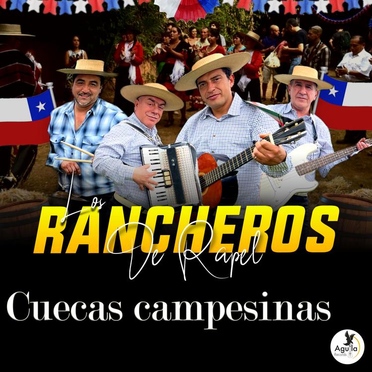 Los Rancheros de Rapel's avatar image