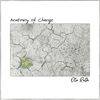 Anatomy of Change By Oto Roth's cover