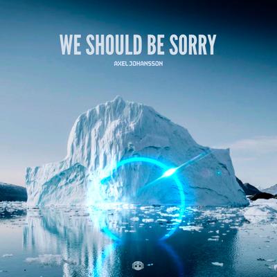 We Should Be Sorry's cover