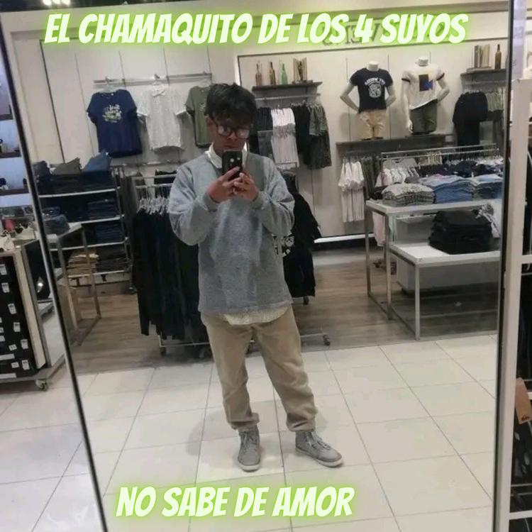 El chamaquito de los 4 suyos's avatar image