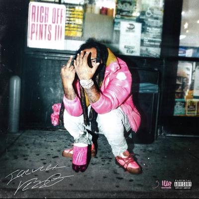 Rich Off Pints 3's cover