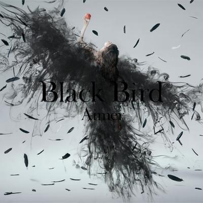 Black Bird's cover