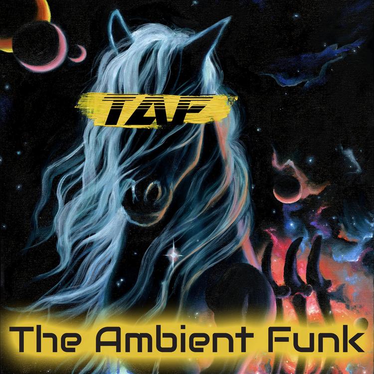The Ambient Funk's avatar image