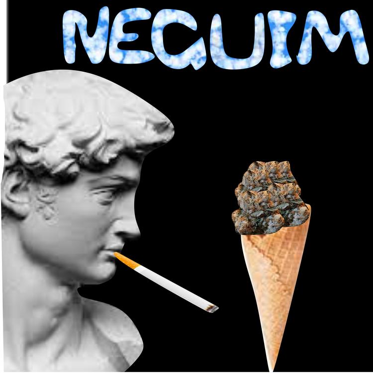 MC Neguim NH's avatar image