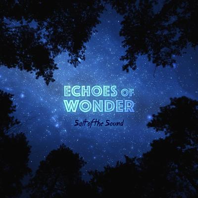 Wonder By Salt Of The Sound's cover