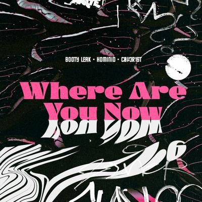 Where Are You Now By BOOTY LEAK, HOMINID, CØV3R1st's cover