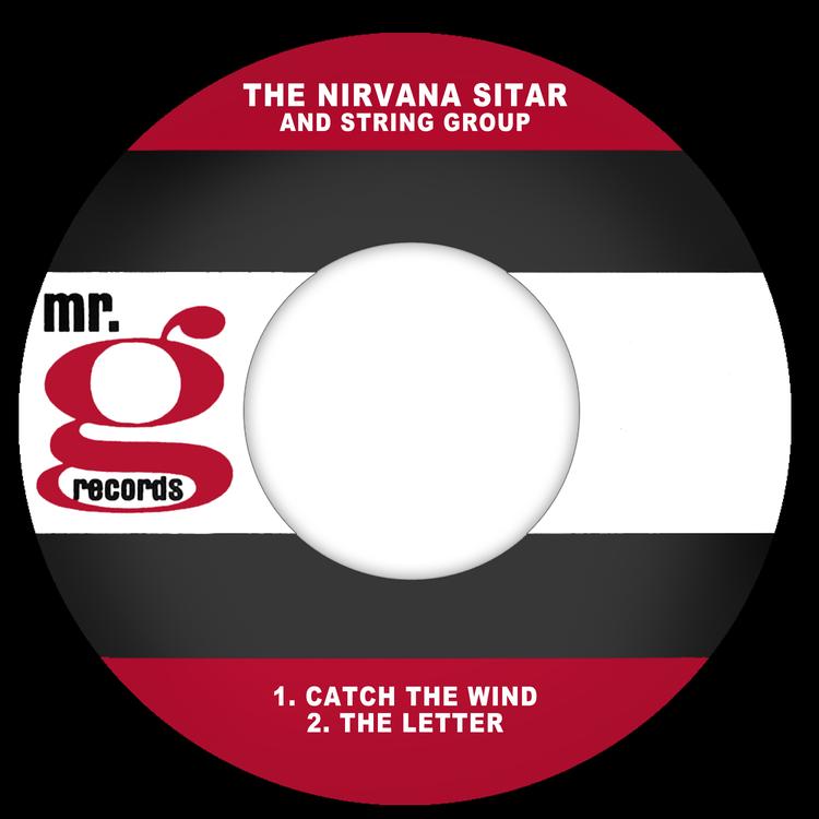 The Nirvana Sitar And String Group's avatar image