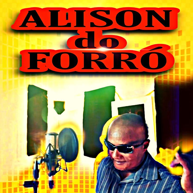 Alison do Forró's avatar image