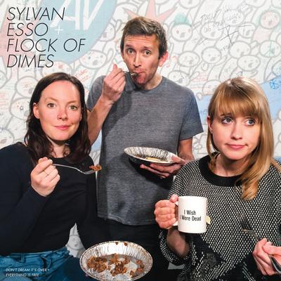 Don't Dream It's Over (feat. Sylvan Esso) By Flock of Dimes, Sylvan Esso's cover