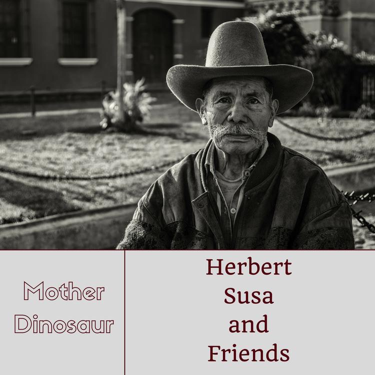 Herbert Susa and Friends's avatar image