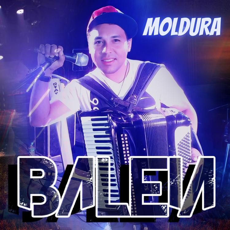 BALEIA AO VIVO's avatar image