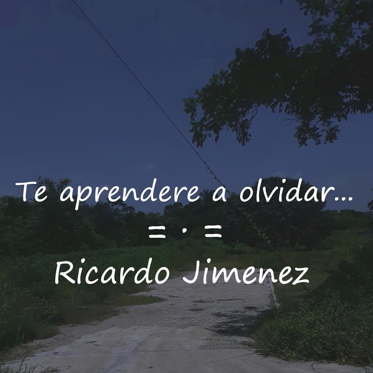 RicardoJimenez's avatar image