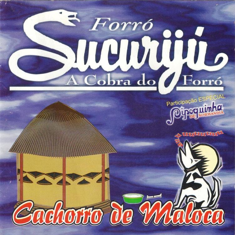 Forró Sucurijú's avatar image