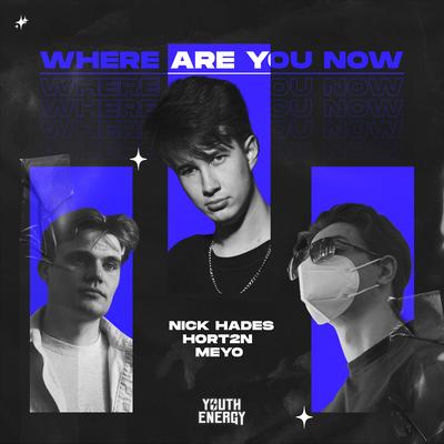 Where Are You Now By Nick Hades, HORT2N, Meyo's cover