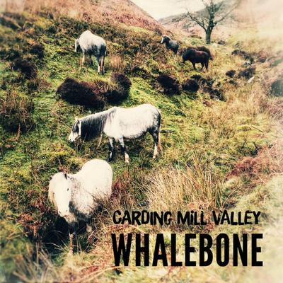 Carding Mill Valley By Whalebone's cover