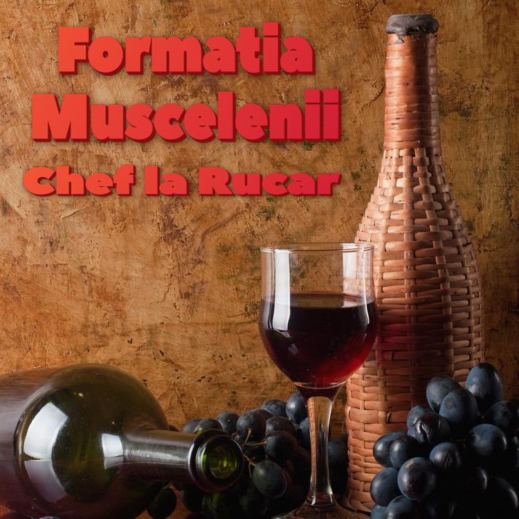 FORMATIA MUSCELENII's avatar image