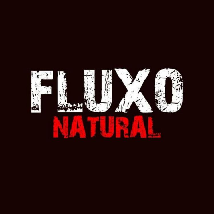 Fluxo Natural 13's avatar image