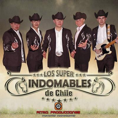 Los Super Indomables de Chile's cover