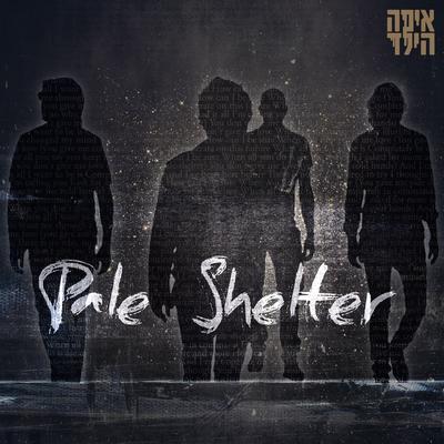 Pale Shelter (Cover)'s cover