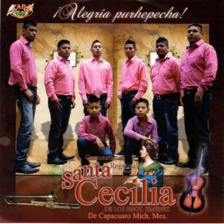 Orquesta Santa Cecilia's avatar image