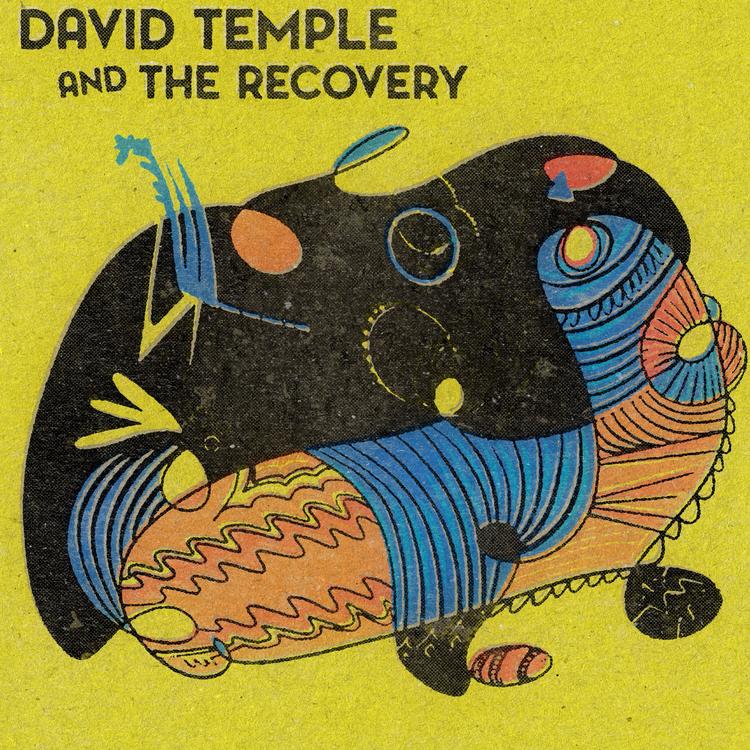 David Temple and The Recovery's avatar image