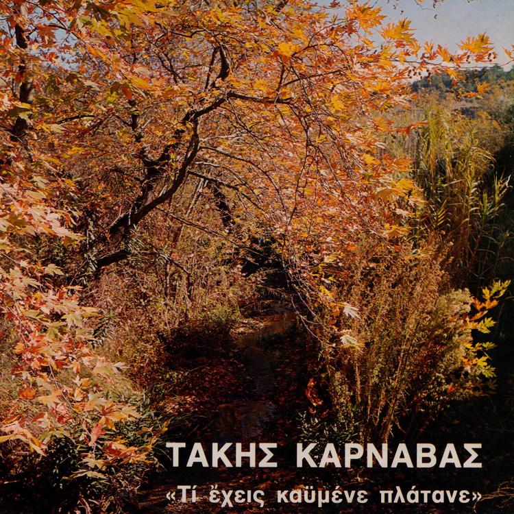 Takis Karnavas's avatar image