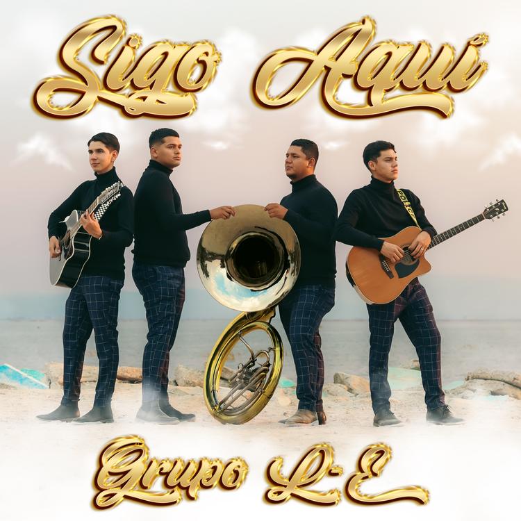 Grupo L-E's avatar image