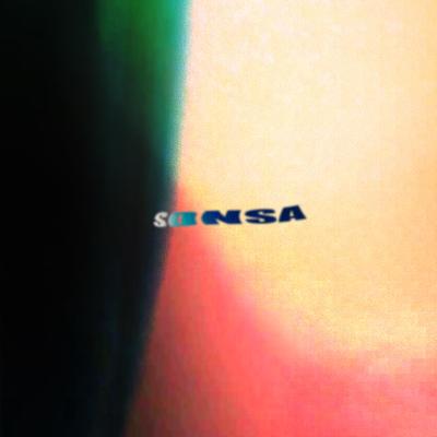 SDNSA's cover