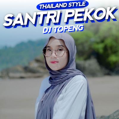 Santri Pekok's cover