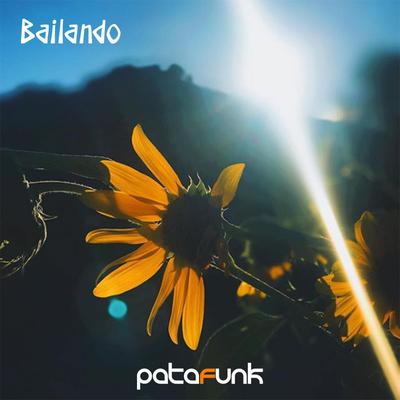 Bailando By Patafunk's cover