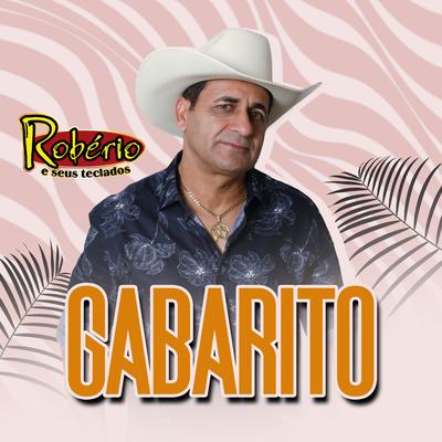 Gabarito By ROBÉRIO E SEUS TECLADOS's cover